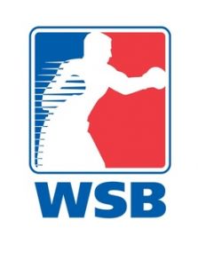 WSB拳击赛最新一期_2016WSB拳击赛爱奇艺