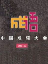 中国成语大会 第二季最新一期_2016中国成语