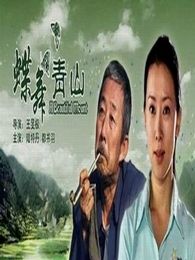 蝶舞青山完整版