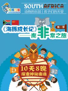 海豚成长记精华版第1季全集