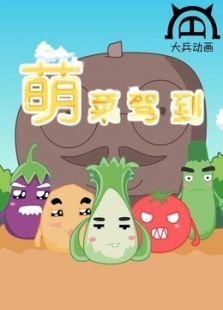 萌菜驾到免费观看