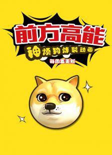 前方高能之神烦狗炸裂动画免费观看