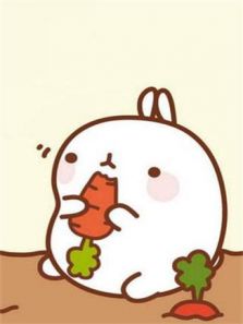 萌浪兔 MOLANG 第一季