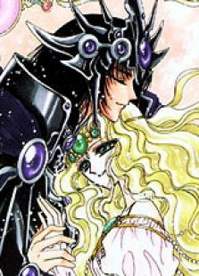 魔法骑士国语版