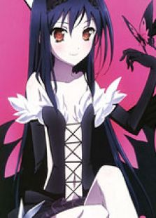 加速世界国语版