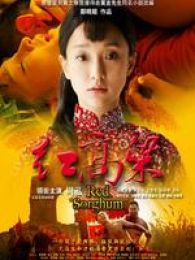 红高粱全集