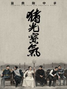 猪光宝气完整版