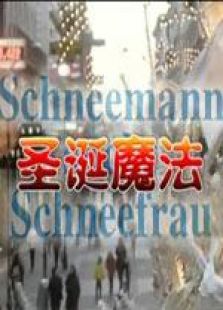 圣诞魔术完整版