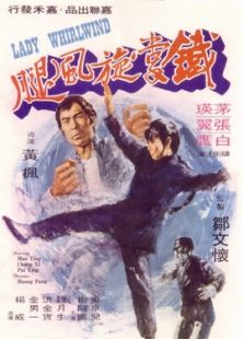 铁掌旋风腿