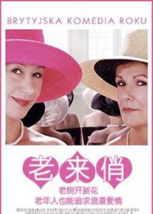 老来俏完整版