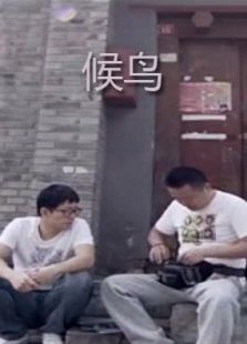 候鸟下微电影