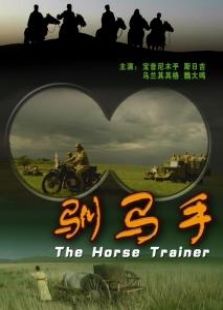 驯马手完整版