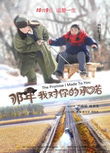那年我对你的承诺完整版