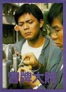 冒牌大贼国语完整版