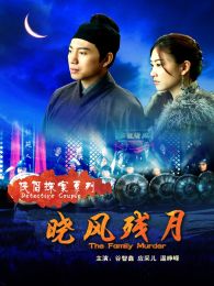 侠侣探案之晓风残月完整版