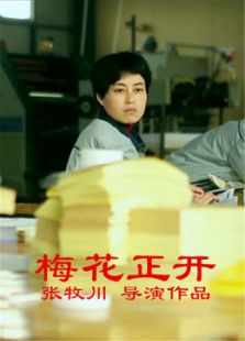 梅花正开微电影