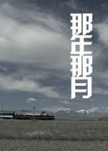 那年那月完整版