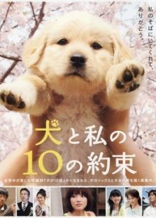 狗狗与我的十个约定完整版
