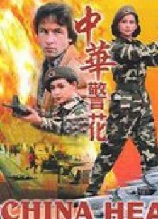 中华警花