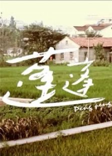 蓬蓬免费观看