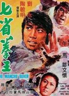 七省拳王国语完整版