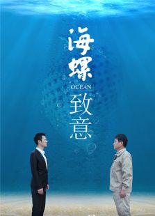 海螺致意完整版