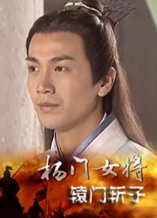 杨门女将辕门斩子完整版