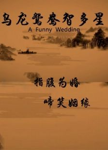 乌龙鸳鸯智多星完整版
