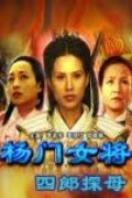 杨门女将之四郎探母完整版