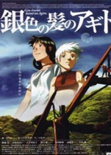 银色头发的阿基德完整版