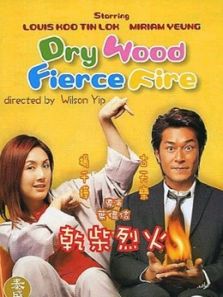 干柴烈火粤语完整版
