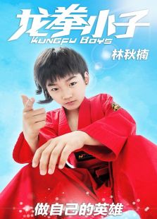 龙拳小子(2016)