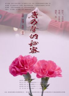 康乃馨的秘密微电影