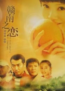 赣南之恋完整版