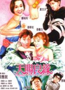天赐良缘粤语完整版