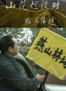 点击播放《山花烂漫时》