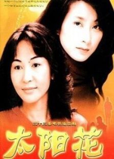 点击播放《太阳花[2002版]》