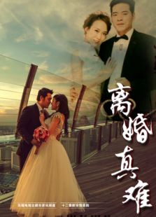 离婚真难电视剧全集