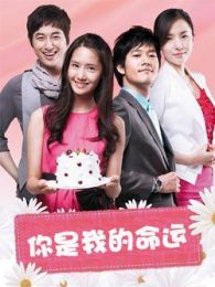 你是我的命运-韩语版电视剧全集