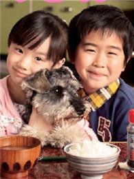 高护木的规矩SP电视剧全集