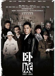 点击播放《卧底[2015版]》