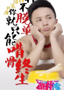 单身狗联盟电视剧全集