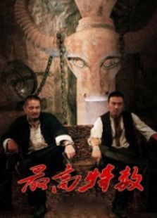 大西南剿匪记之最高特赦电视剧全集