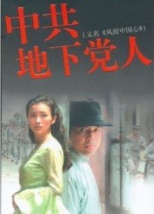 中共地下党电视剧全集