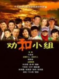 劝和小组TV版电视剧全集