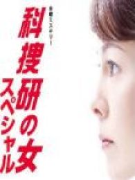科搜研之女2011特别篇电视剧全集