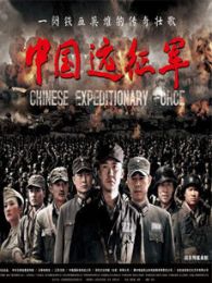 中国远征军2岛城风云电视剧全集