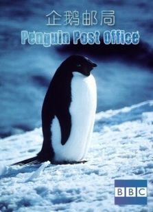 BBC：企鹅邮局