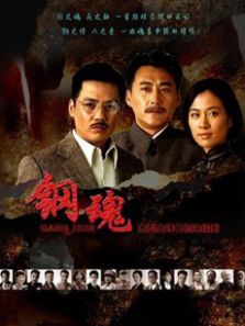 钢魂DVD