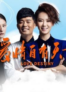 爱情自有天意TV版电视剧全集
